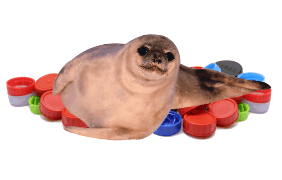 Random Image